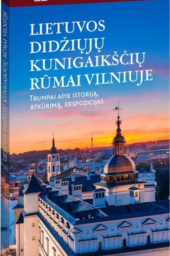 Lietuvos didžiųjų kunigaikščių rūmai Vilniuje